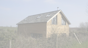 view image