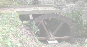 view image