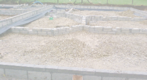 view image