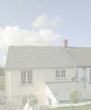 view image