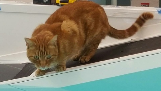 onsite hydrotherapy unit