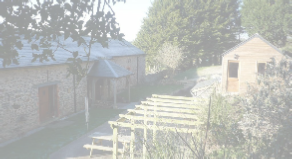 view image