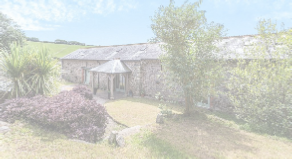 view image