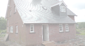 view image