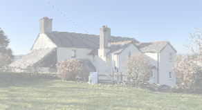 view image
