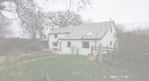 view image