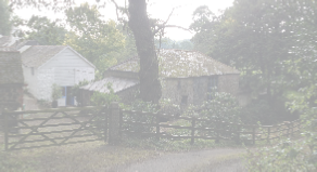 view image