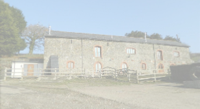 view image