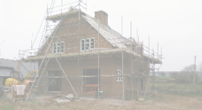 view image