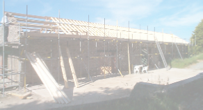 view image