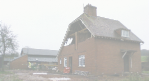 view image