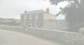 view image