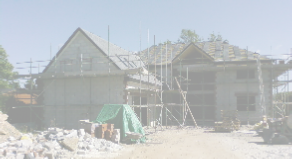 view image
