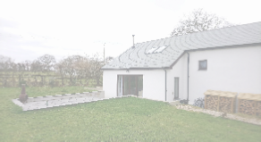 view image