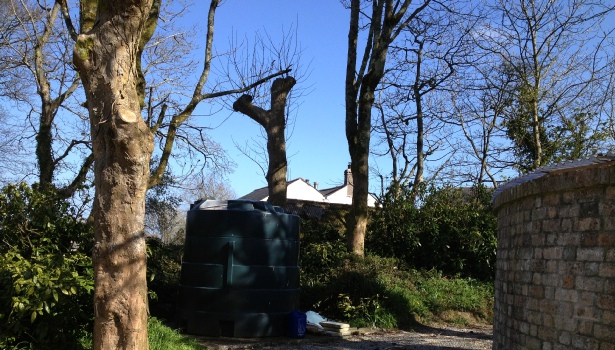 before and after biomass boiler
