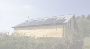 view image