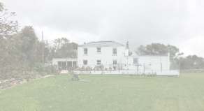 view image