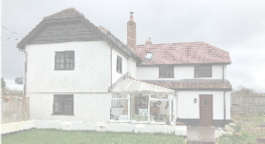 view image