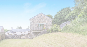 view image