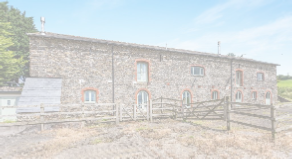 view image