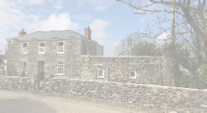view image